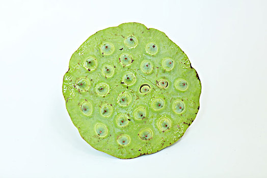 保姆的薪水一般多少？了解保姆薪酬的秘密