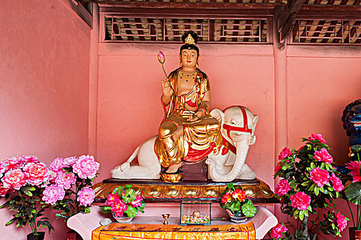 佛山請保姆價格是多少？揭開家政服務行業的神秘面紗
