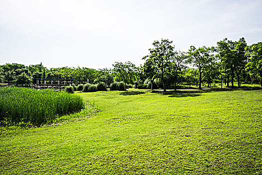 鄭州高級月嫂工資多少？揭示高薪背后的行業(yè)趨勢與發(fā)展機會