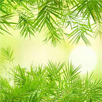 深圳保姆的工資是多少？全面解析薪資與職業(yè)前景