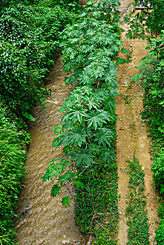 家政有多少錢一個月？揭秘家政行業(yè)的收入與前景