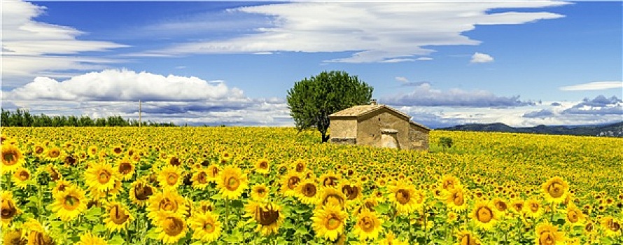 住家保姆價格多少錢？選擇住家保姆服務的全方位解析