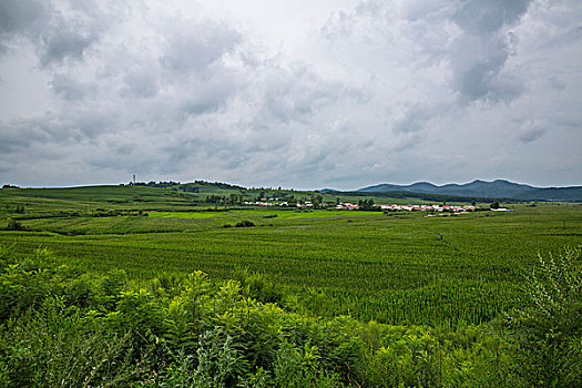 洛陽家政服務(wù)價格揭秘，如何選擇性價比高的服務(wù)？