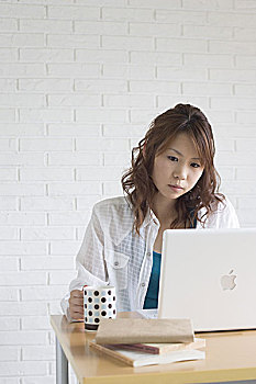 家政只做晚飯多少錢？青島家政服務價格大揭秘