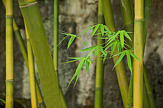 昆山看孩子保姆價(jià)格多少？選擇最適合的育兒保姆，輕松照顧孩子的成長(zhǎng)