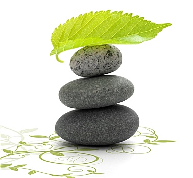 上海當保姆工資多少？揭秘上海保姆行業(yè)的薪資秘密