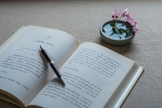 高端家政多少錢一個月？為您的生活帶來無憂享受
