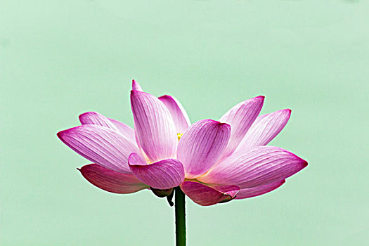 全天育兒嫂多少錢(qián)？了解價(jià)格背后的價(jià)值與服務(wù)選擇