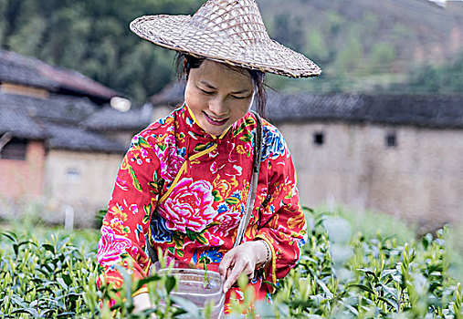 住家保姆做一次多少錢？揭秘背后的服務價值與市場行情