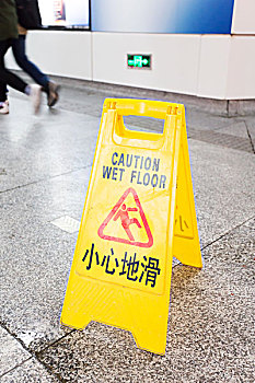 純白緬因貓多少錢一只？了解純白緬因貓的價格與市場動向