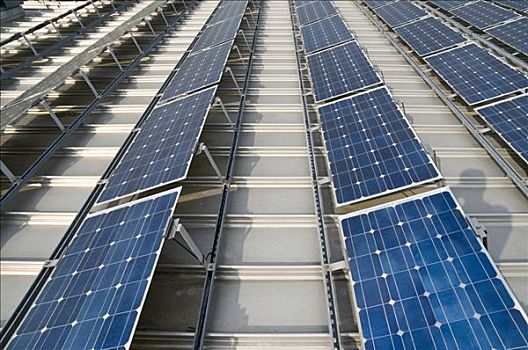 《拆彈專家2》投入多少錢？揭秘電影投資背后的巨大成本與回報
