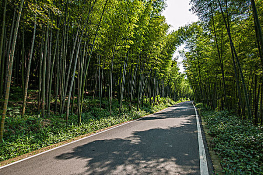 上海請住家保姆多少錢？解密上海住家保姆的價格與選擇