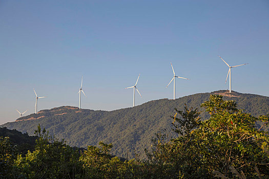 奪冠電影投資成本是多少？揭秘背后的巨額投資與回報