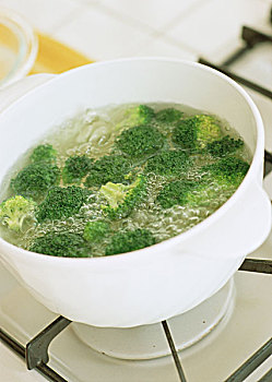 漸層藍金貓咪多少錢？揭秘你夢想中的完美寵物
