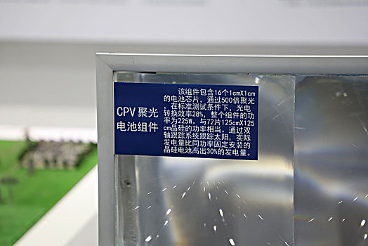 漸層藍金貓咪多少錢？揭秘你夢想中的完美寵物