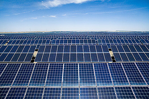 《除暴電影總投資多少錢？揭秘大銀幕背后的巨額資金》