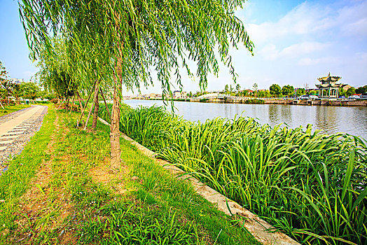 北京家政行業(yè)的平均工資：一個(gè)值得關(guān)注的行業(yè)前景