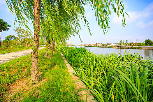 除暴首映票房創佳績，引領夏季檔票房新潮流