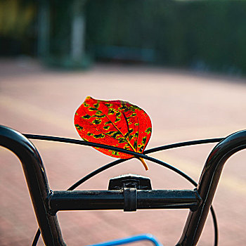 送你一朵小紅花耗資多少？背后隱藏的商業密碼與情感經濟