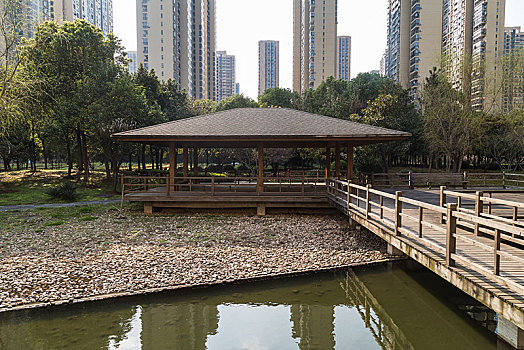 串的緬因貓多少錢一只？揭秘緬因貓的價格及飼養要點