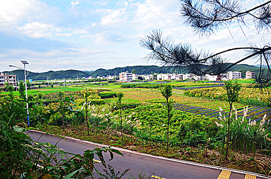 臺州空調(diào)移機(jī)費(fèi)用詳解，選擇專業(yè)服務(wù)讓你省心又省錢