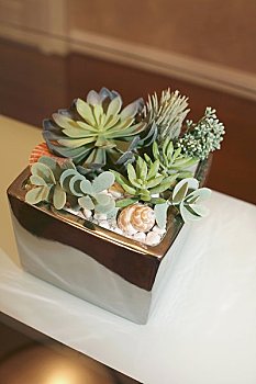 安慶保母多少錢(qián)一個(gè)月？了解價(jià)格背后的價(jià)值與選擇