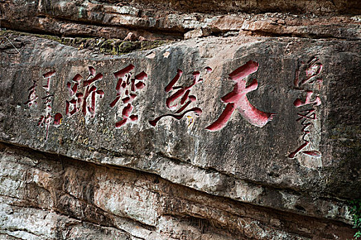 請(qǐng)一個(gè)醫(yī)院護(hù)工多少錢？了解醫(yī)院護(hù)工服務(wù)費(fèi)用，輕松選擇合適的護(hù)理方案
