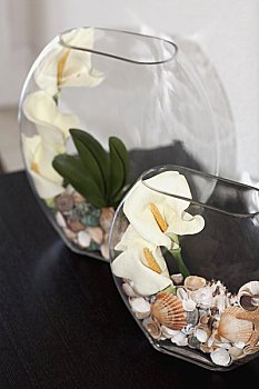 深圳龍華請個月嫂多少錢？月嫂服務價格全解析！