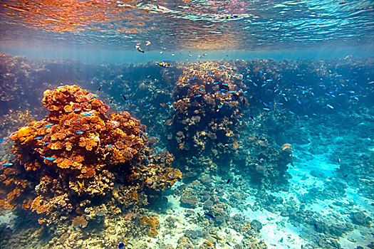 海口保姆要多少錢？揭開海口保姆市場的真實面紗！