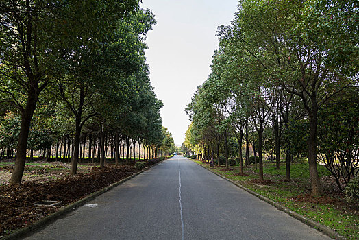 成都一般家政工資多少錢？讓你了解家政行業的薪資與前景