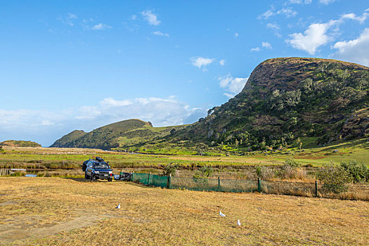 釜山住家保姆工資多少？了解生活成本和就業前景，助您做出明智選擇