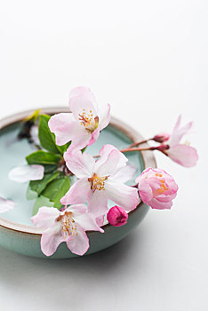 在海南請(qǐng)一個(gè)保姆多少錢(qián)？了解海南保姆市場(chǎng)的真實(shí)價(jià)格