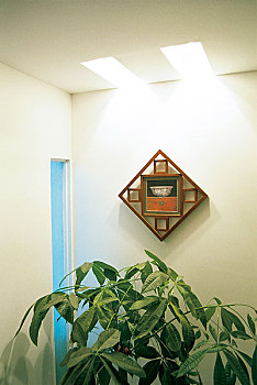 家政之家全國有多少門店？了解家政行業的新機遇與發展前景