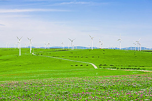 萊山保潔行業大揭秘：數量背后的商機與前景