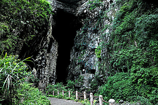 《唐人街探案3》電影票房保本分析：投資背后的智慧