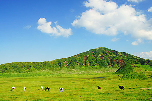 國(guó)貿(mào)家政小時(shí)工多少錢(qián)？掌握家政服務(wù)市場(chǎng)的核心信息