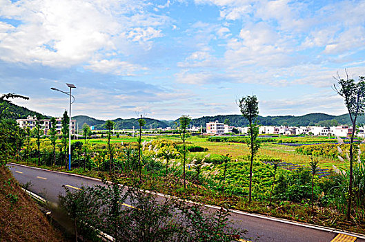 鄭州請保姆多少錢一個月？揭秘鄭州保姆市場行情