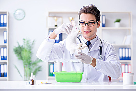 在北京全職住家保姆月工資多少錢？揭秘你想知道的一切！