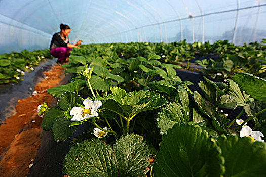 貴陽白班保姆多少錢？帶您了解保姆費(fèi)用背后的秘密