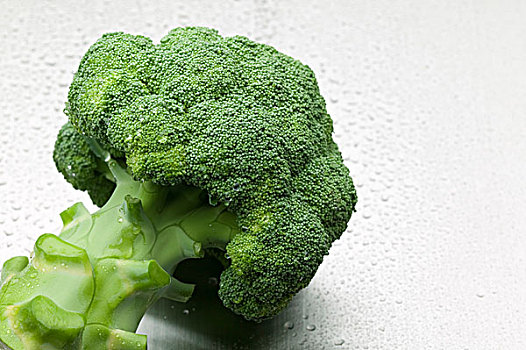嘉興住家保姆工資多少？揭秘嘉興住家保姆薪資與行業趨勢