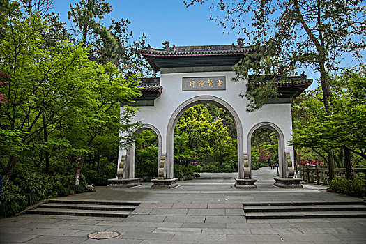 鄒城有多少家政公司？揭秘本地家政行業(yè)的現(xiàn)狀與前景