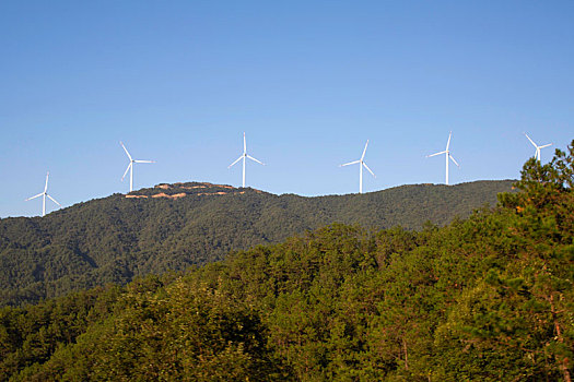 除暴電影制作成本多少錢？揭秘幕后花費與投資回報