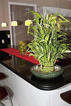 金華住家保姆工資多少？深度解析金華保姆行業(yè)薪資現(xiàn)狀
