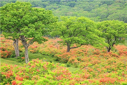 南京二院護(hù)工多少錢一天？揭開(kāi)護(hù)理行業(yè)的真相，帶你了解護(hù)工的真實(shí)費(fèi)用！