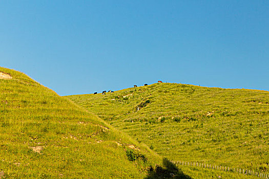 西寧住家保姆價(jià)格多少？揭秘西寧住家保姆市場(chǎng)的真實(shí)價(jià)格和選擇技巧