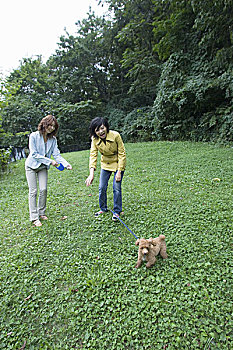 大連找個保姆多少錢？揭秘保姆價格背后的因素和市場行情