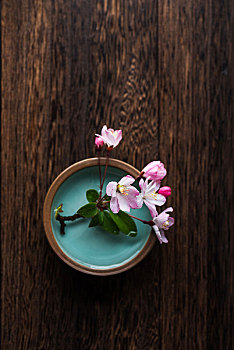 洛陽(yáng)找個(gè)保姆需要多少錢？讓我們一起揭秘！