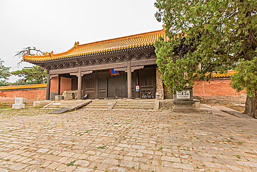 北京護工多少錢一天工？了解護理服務市場，選擇合適的護工