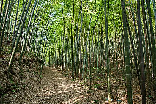 華夏中青加盟費(fèi)要多少？了解這個(gè)項(xiàng)目，助你輕松邁向成功之路！