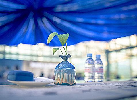 重慶市保姆工資大揭秘：真實(shí)薪資，職業(yè)前景，給你不一樣的認(rèn)知！